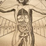 Cuerpo y cosmografía